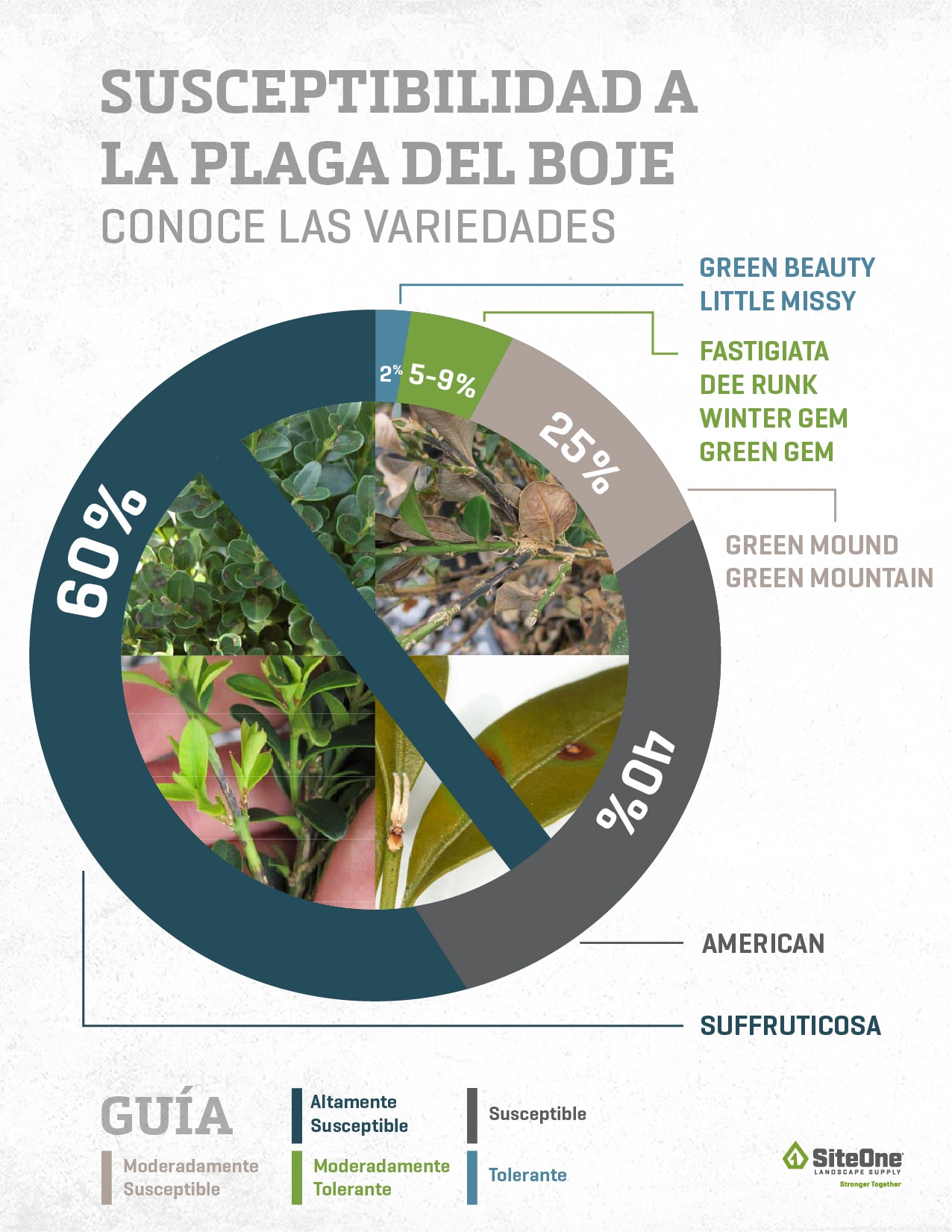 How Fertilizer Feeds Turf